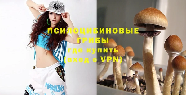 ешки Новозыбков