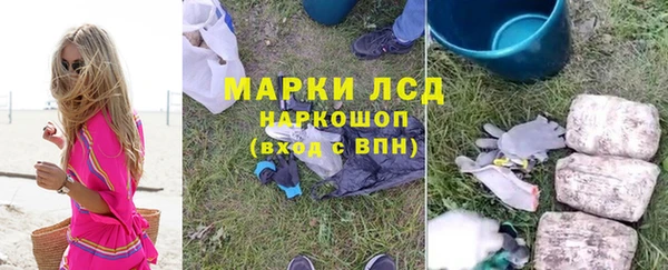 ешки Новозыбков