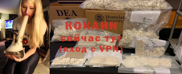 ешки Новозыбков