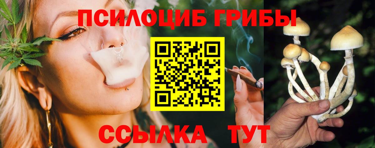 Псилоцибиновые грибы мицелий  Рубцовск  Галлюциногенные грибы Psilocybe 